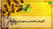 اموزش زنبورداری-دوره آموزش پرورش زنبور-اولین کلونی