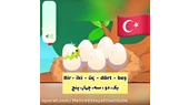 Teaching turkish by Ms Morvarid Mostofi