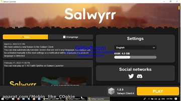 Salwyrr launcher